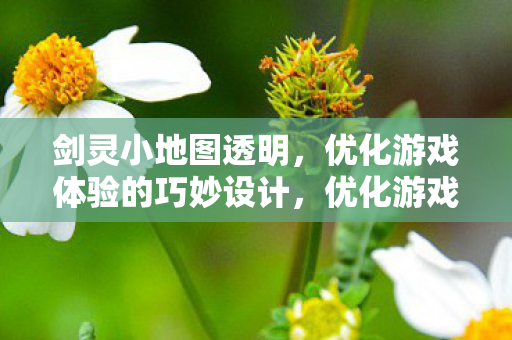 优化游戏体验的巧妙设计图片