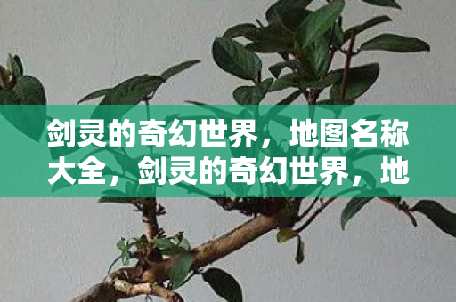 剑灵的奇幻世界图片