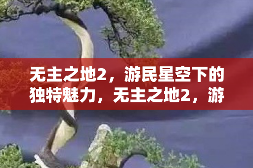 游民星空下的独特魅力图片