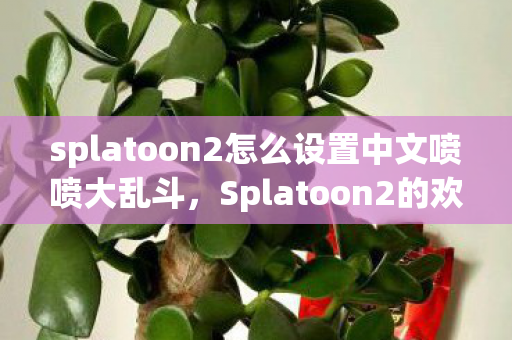 splatoon2怎么设置中文喷喷大乱斗图片