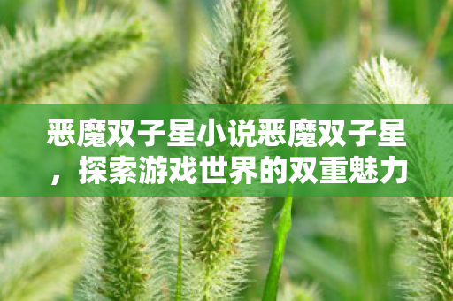 恶魔双子星小说恶魔双子星图片