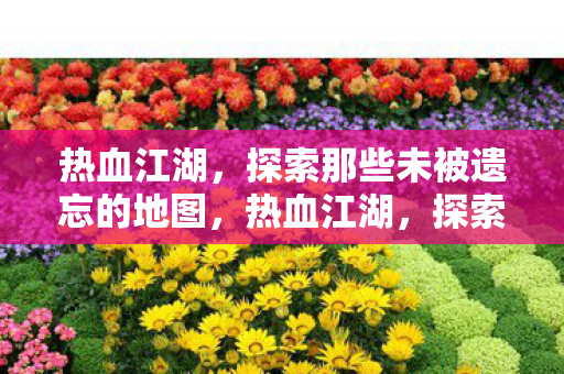 探索那些未被遗忘的地图图片