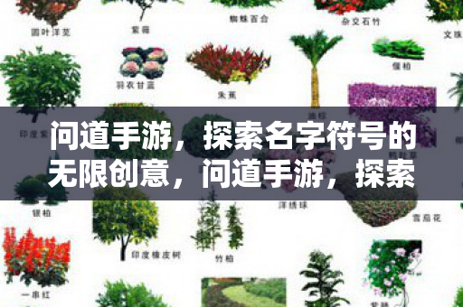 问道手游，探索名字符号的无限创意，问道手游，探索名字符号的无限创意
