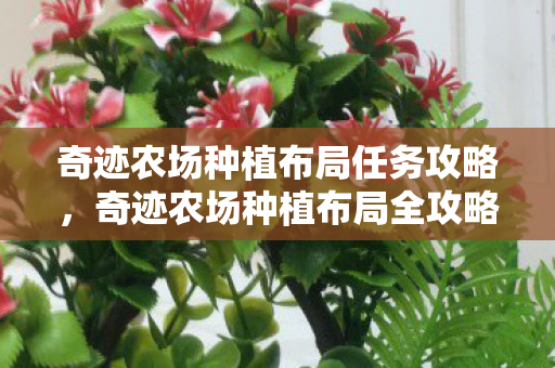 奇迹农场种植布局任务攻略图片