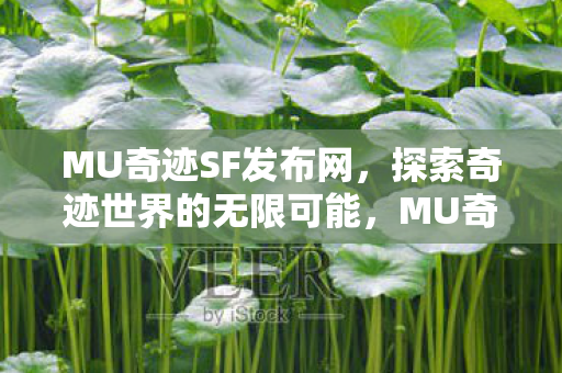 探索奇迹世界的无限可能图片