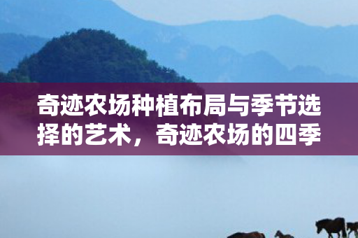 奇迹农场种植布局与季节选择的艺术图片