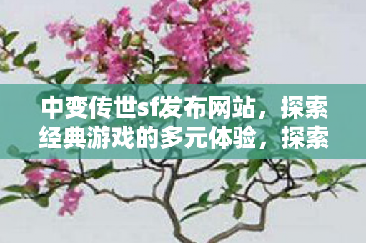 探索经典游戏的多元体验图片
