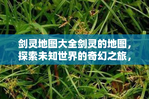 剑灵地图大全剑灵的地图图片