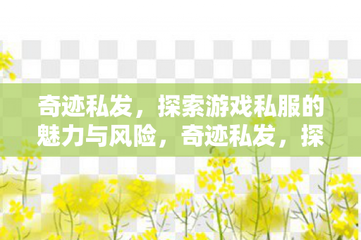 探索游戏私服的魅力与风险图片
