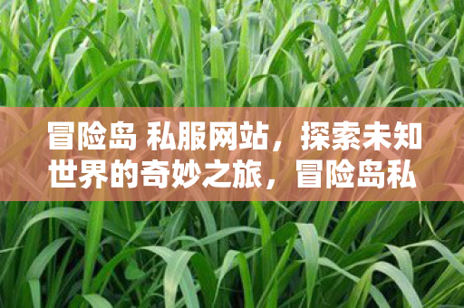开启探索未知世界的奇妙之旅图片