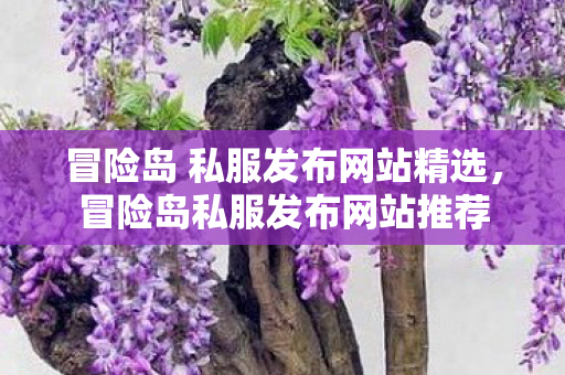 冒险岛 私服发布网站精选图片