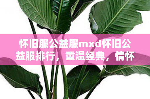 怀旧服公益服mxd怀旧公益服排行图片