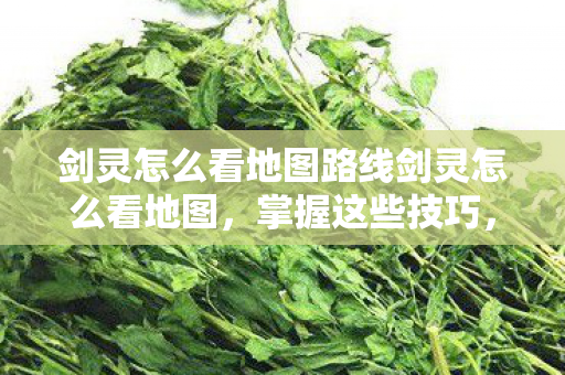剑灵怎么看地图路线剑灵怎么看地图图片