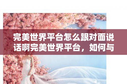 完美世界平台怎么跟对面说话啊完美世界平台图片