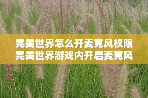 完美世界怎么开麦克风权限完美世界游戏内开启麦克风的方法图片