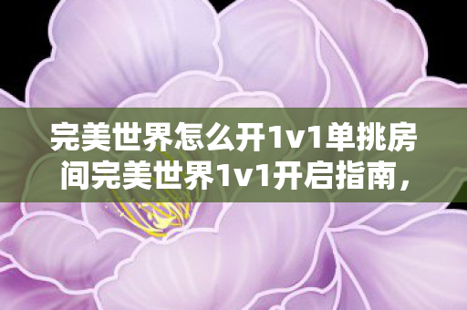 完美世界怎么开1v1单挑房间完美世界1v1开启指南图片