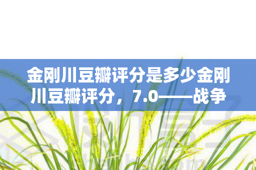 金刚川豆瓣评分是多少金刚川豆瓣评分图片