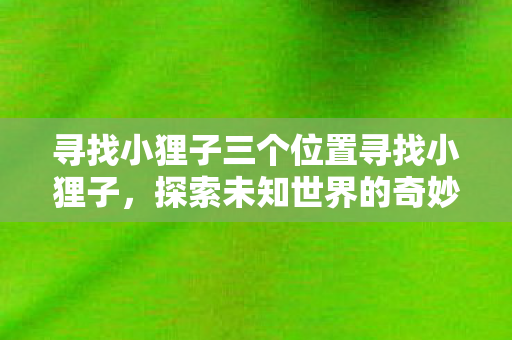 寻找小狸子三个位置寻找小狸子图片