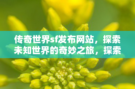 探索传奇世界sf发布网站图片