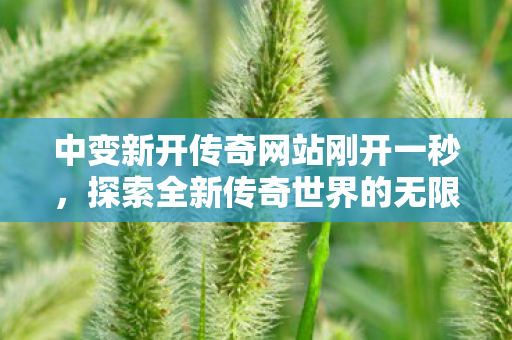 探索全新传奇世界的无限可能图片