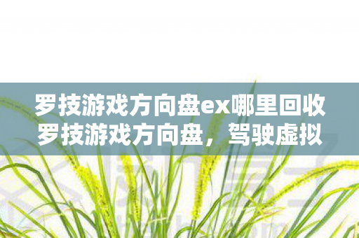 罗技游戏方向盘ex哪里回收罗技游戏方向盘图片