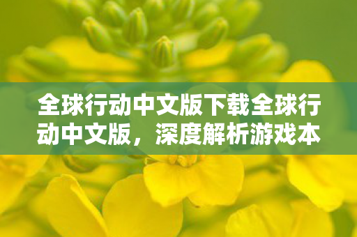 全球行动中文版下载全球行动中文版图片