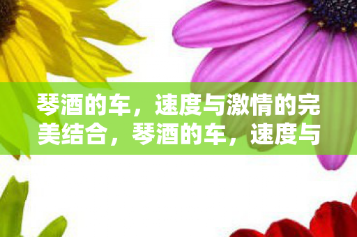 速度与激情的完美结合图片