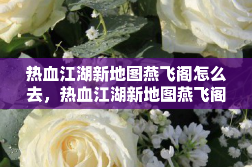 热血江湖新地图燕飞阁怎么去图片