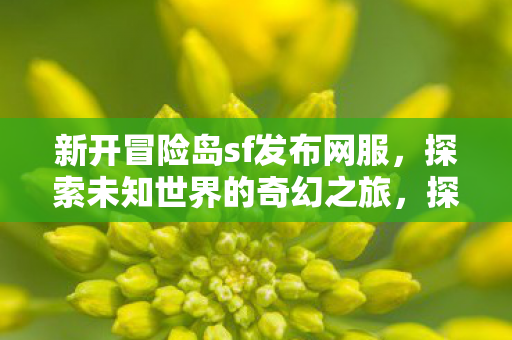 新开冒险岛sf发布网服等你来挑战图片