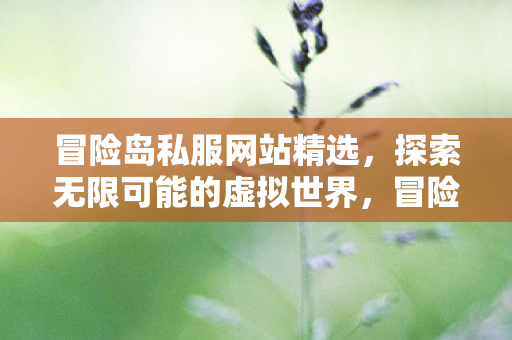 探索无限可能的虚拟世界图片