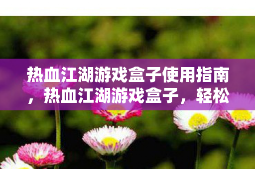 热血江湖游戏盒子使用指南图片