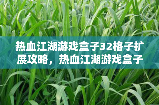 热血江湖游戏盒子32格子扩展全攻略图片