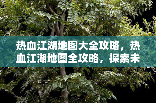 热血江湖地图大全攻略图片