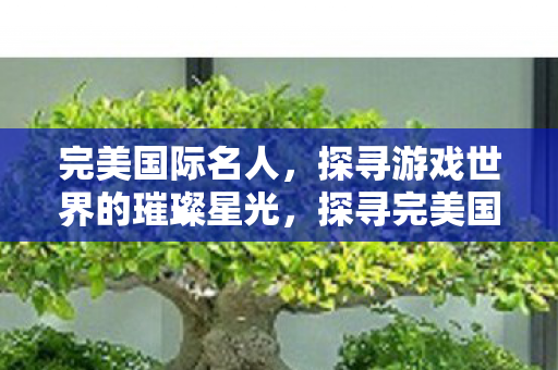 探寻游戏世界的璀璨星光图片