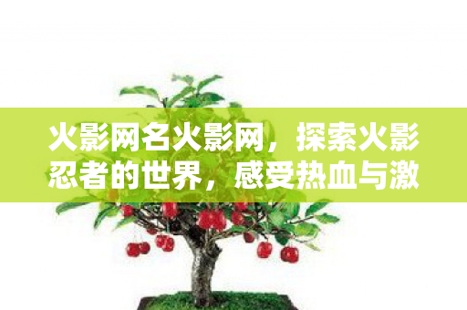 感受热血与激情的碰撞图片