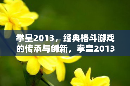 经典格斗游戏的传承与创新图片