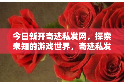 探索未知游戏世界的大门图片