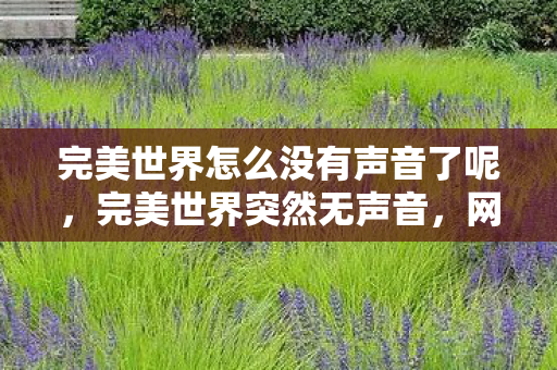 完美世界怎么没有声音了呢图片