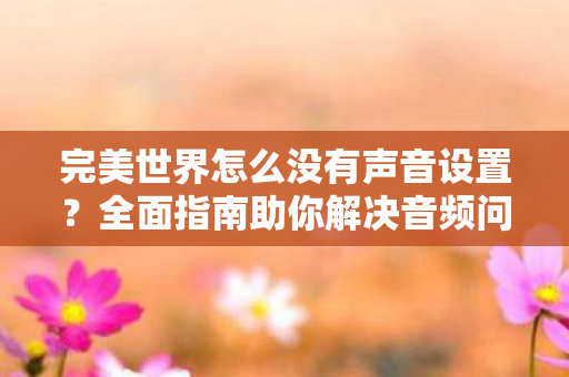 全面指南完美世界音频问题解决方案图片