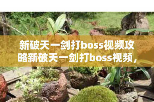 新破天一剑打boss视频攻略新破天一剑打boss视频图片