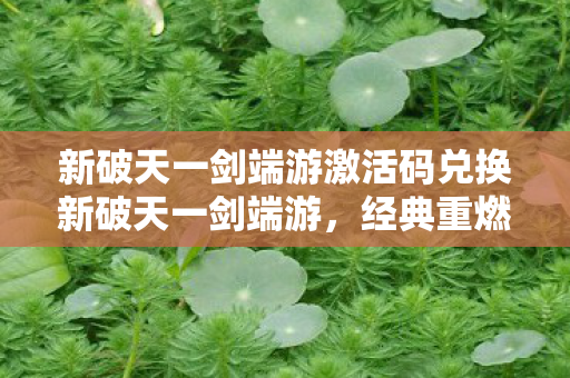 新破天一剑端游激活码兑换新破天一剑端游图片