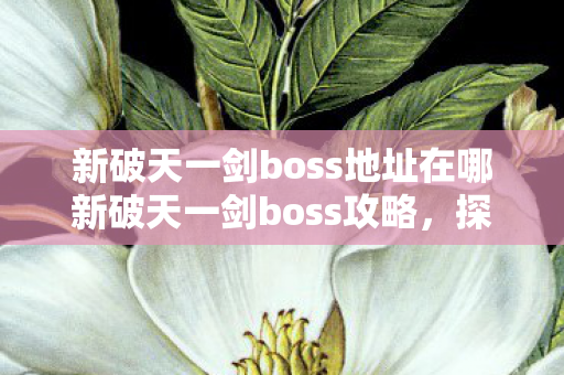 新破天一剑boss地址在哪新破天一剑boss攻略图片