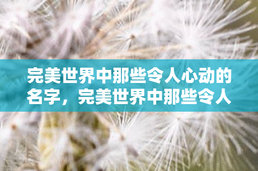 完美世界中那些令人心动的名字图片