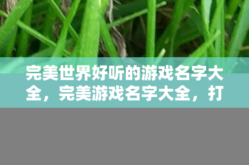 完美世界好听的游戏名字大全图片