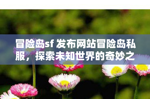 冒险岛sf 发布网站冒险岛私服图片