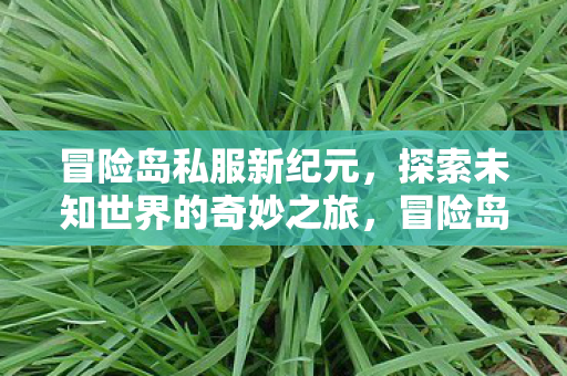 探索未知世界的奇妙之旅图片