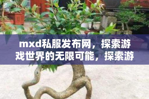 mxd私服发布网开启无限可能图片