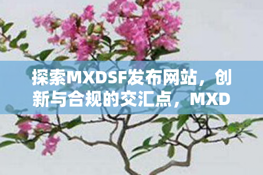 探索MXDSF发布网站图片