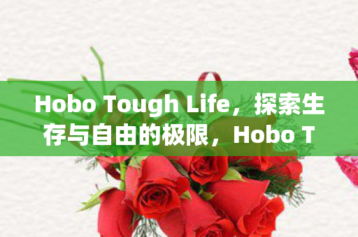 Hobo Tough Life图片