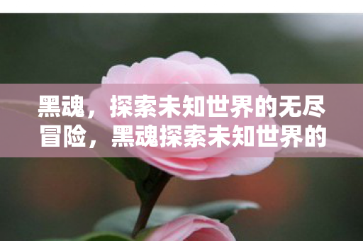 黑魂探索未知世界的无尽冒险图片
